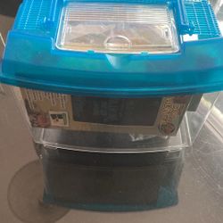 Hermit Crab Starter Kit