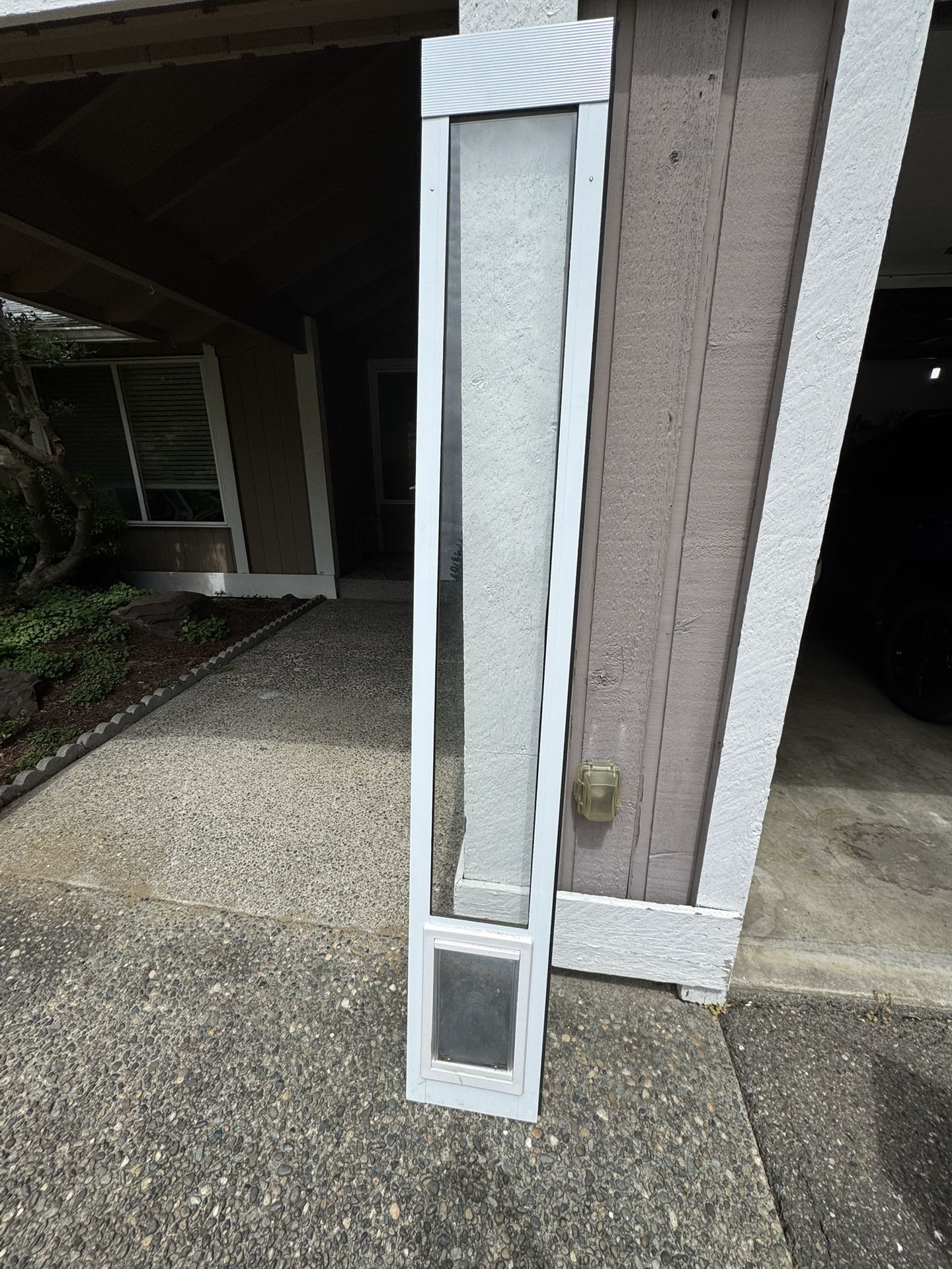 Cat Door