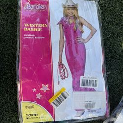Barbie Costume