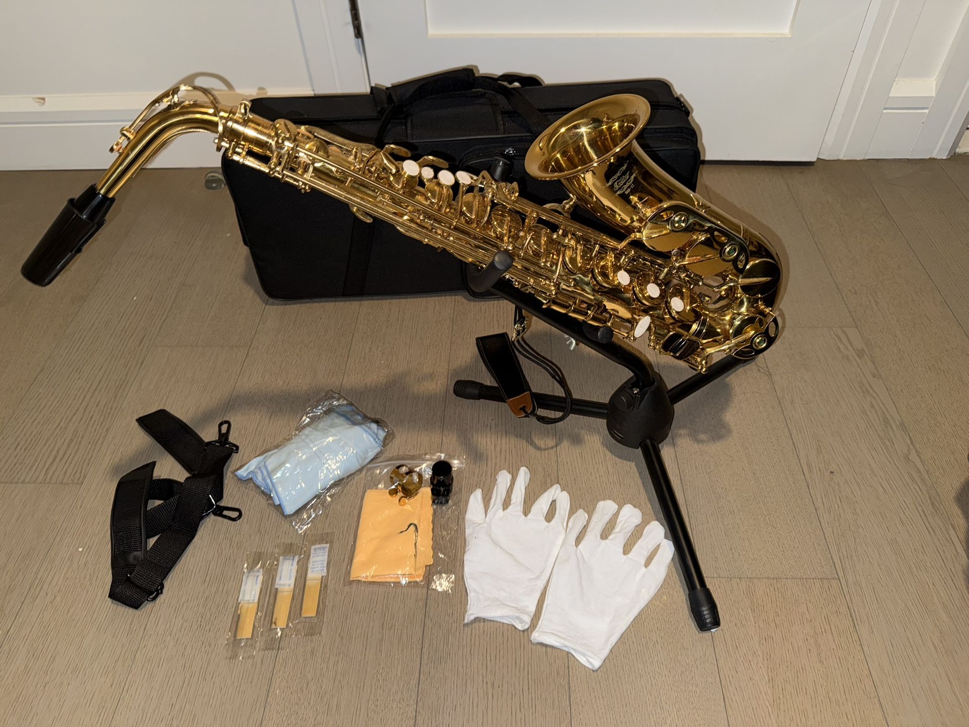 New Alto Saxophone With Carrying Case, Stand, 3 Reeds, And Cleaning Kit