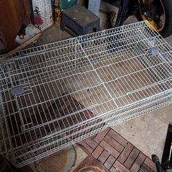 Rabbit Run