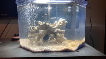 Saltwater Reef Lot