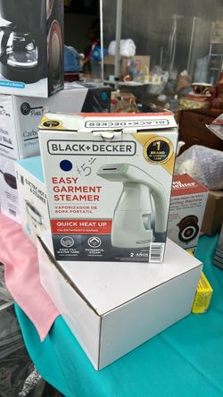 New Garment Steamer