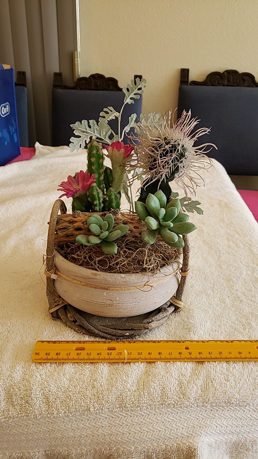 Faux Potted Cacti Cactus in Pot in Basket Read Below