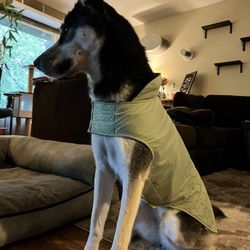 Fleece Dog Coat - Jacket