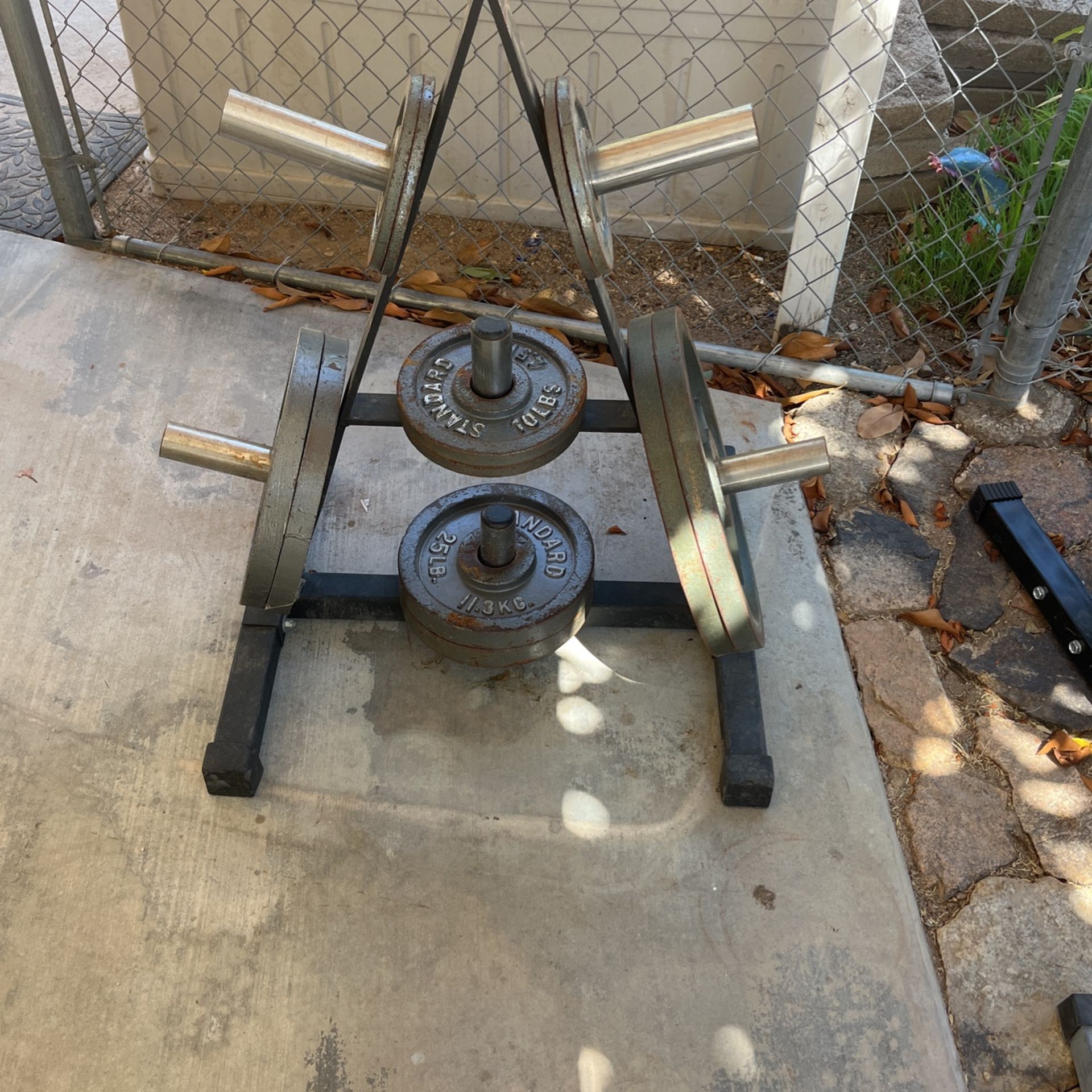 Weights And Tree