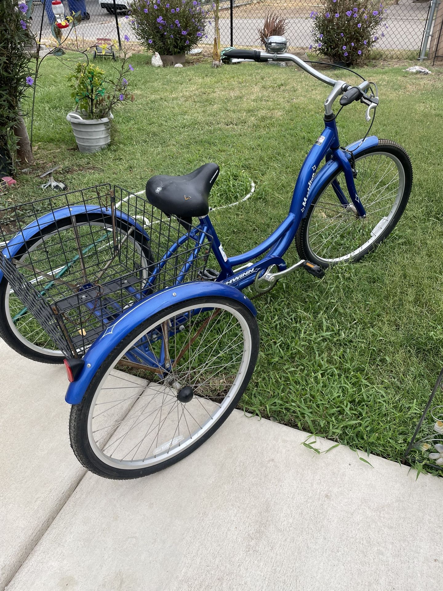 Schwinn Meridian Tricycle