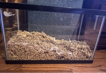 10 gallon tank
