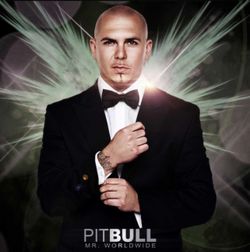 PITBULL VIP PARKING PASS