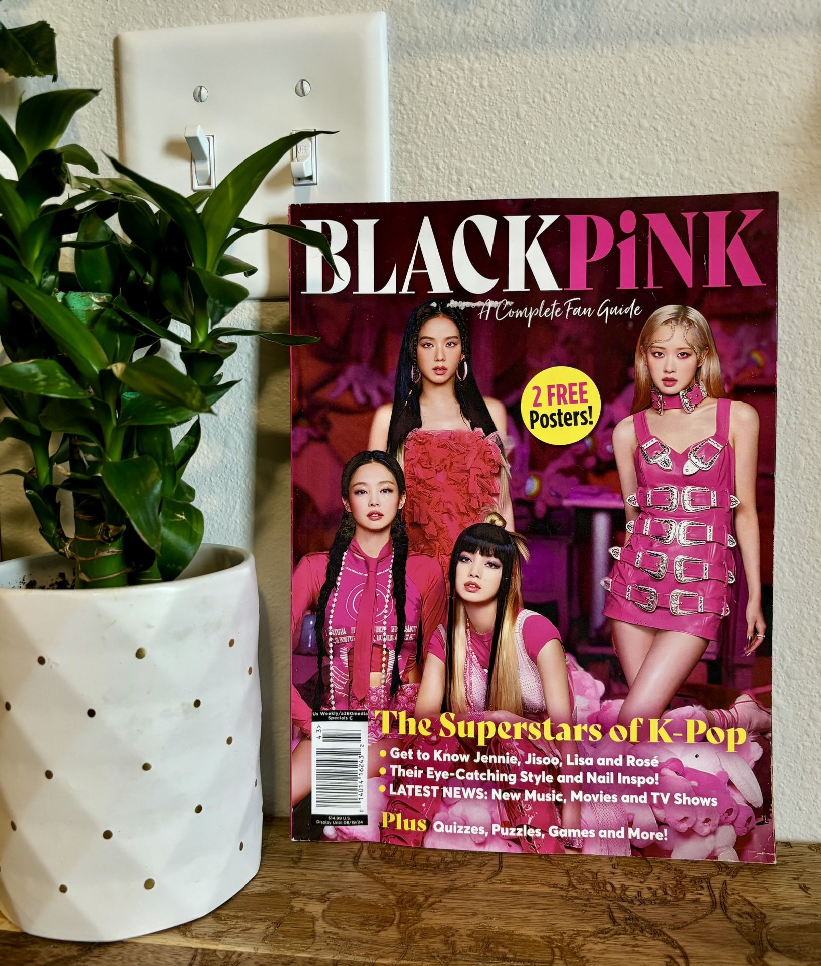 BlackPink - A Complete Fan Guide (poster never removed)