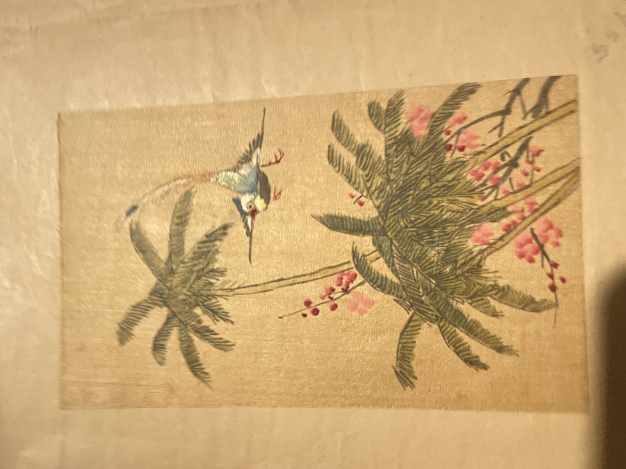 Five Vintage Beautiful Bird Painting Prints