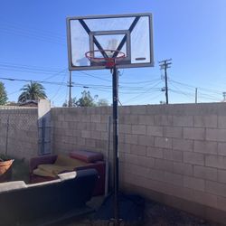 basketball hoop