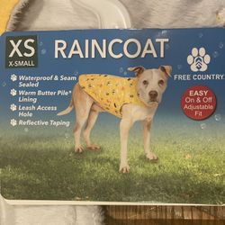 Raining Cat & Dogs