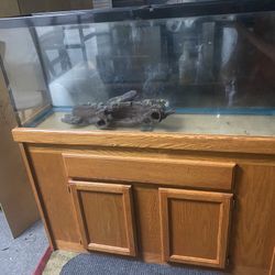 55 galons fish tank for reptiles only