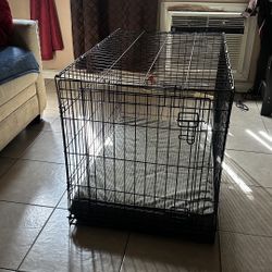 Large Dog Crate 