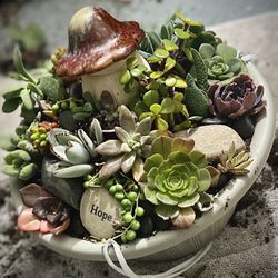 Succulent Tabletop Centerpieces 20 + Varieties Live Plants for Sale in  Murrieta, CA - OfferUp