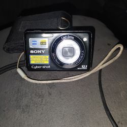 Sony Cyber-shot DSC-W210 or DSC-W220 digital camera,. 