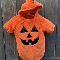 Pumpkin Halloween Costume 