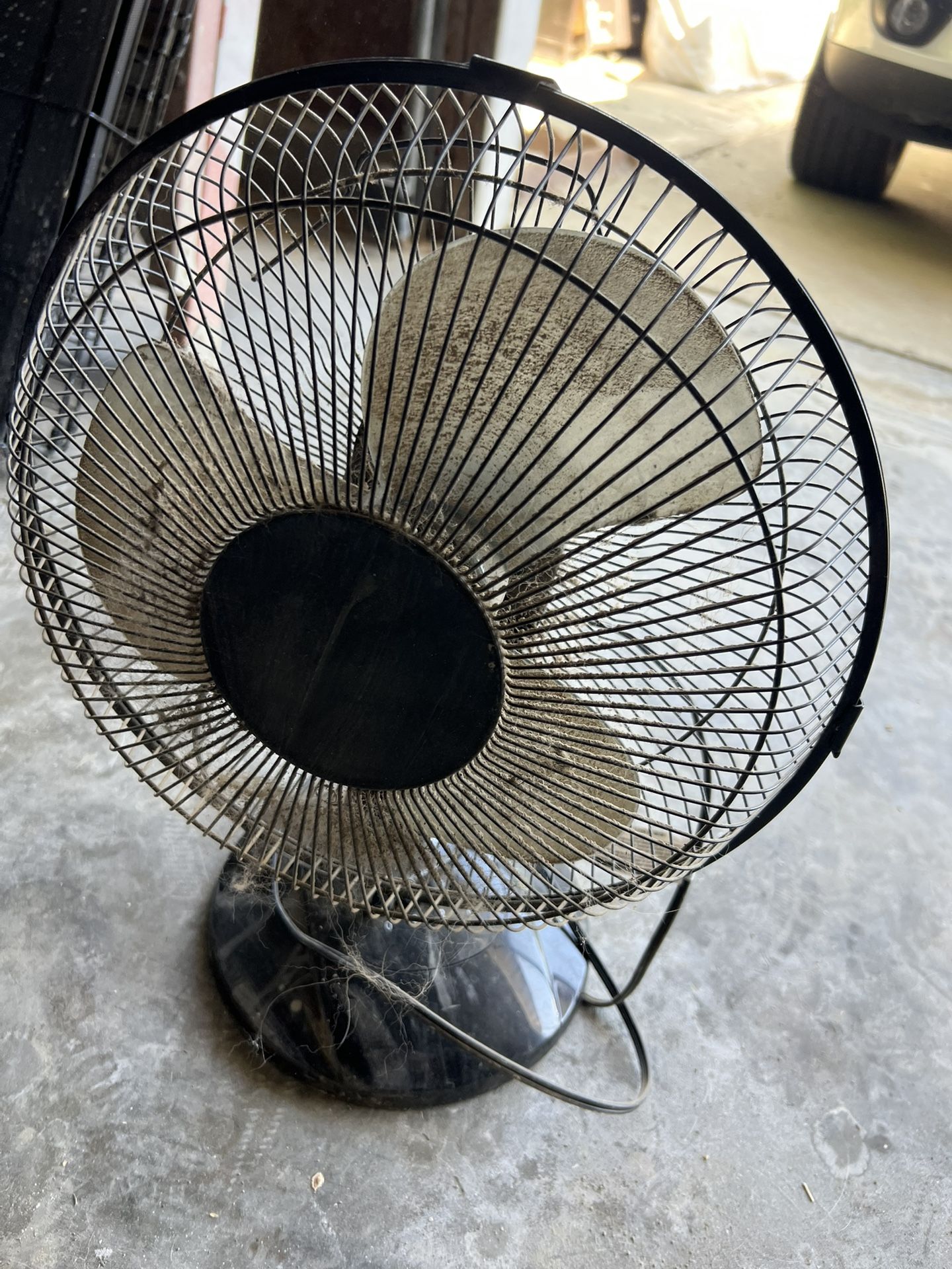 Fan