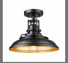 Ceiling Light