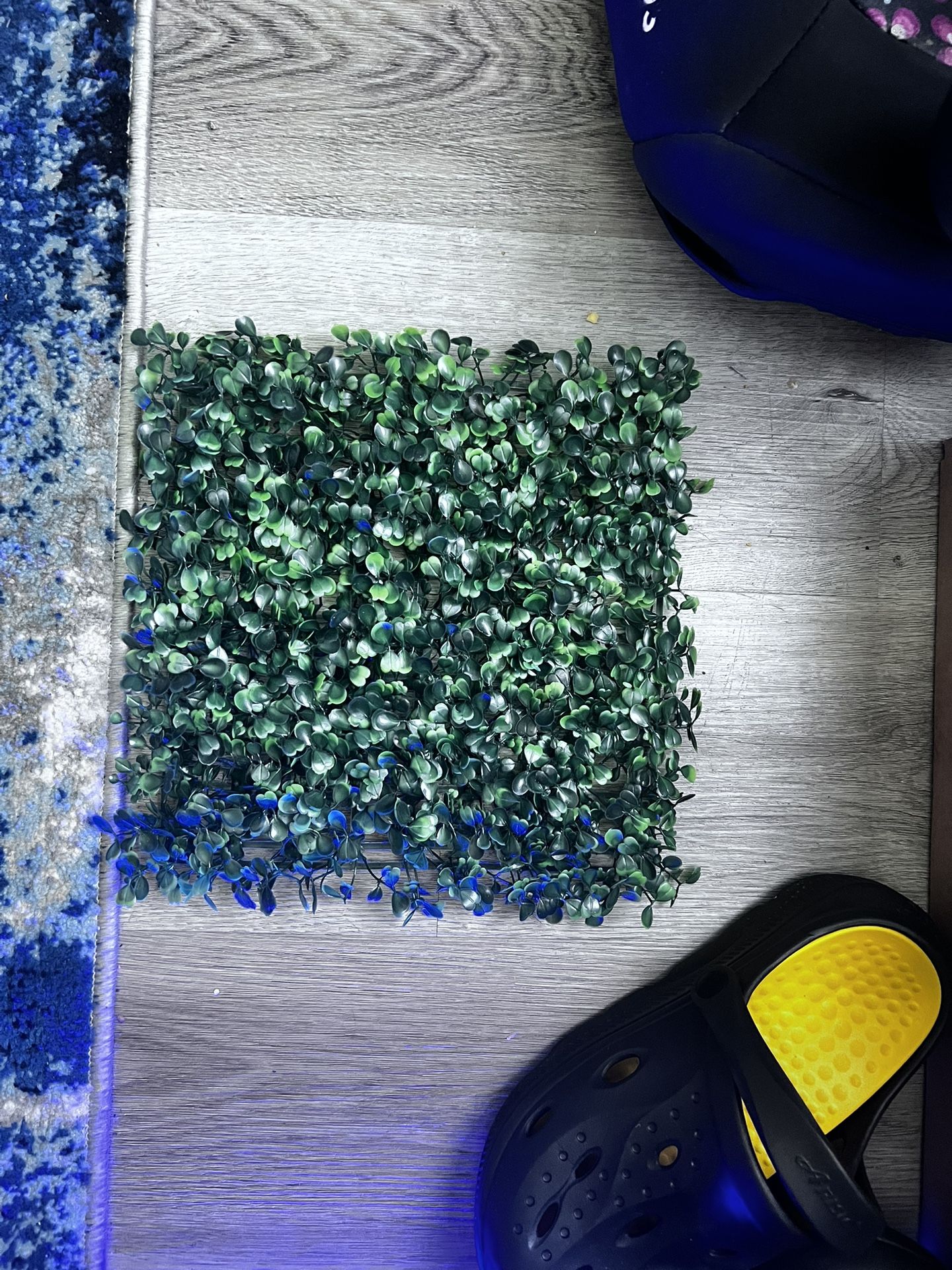 Artificial Grass Wall