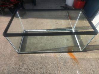 40 gallon reptile tank