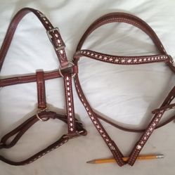 Pony Bridle And Halter Brand New 