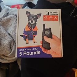 Small Dog Training Collar