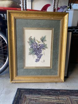 Grape Vine Picture
