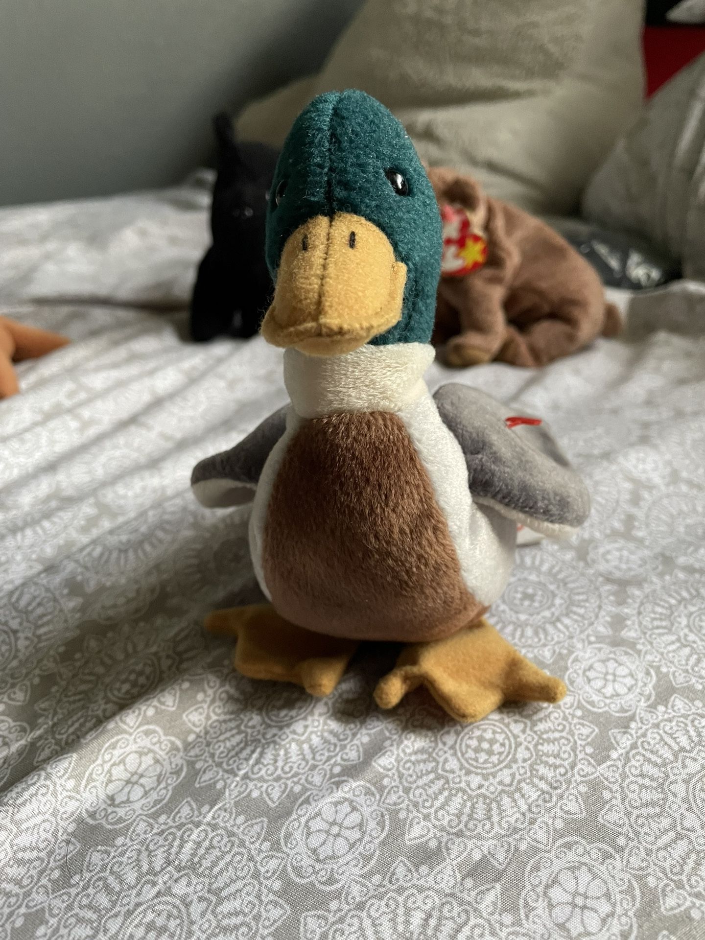 Beanie Baby Jake 1998