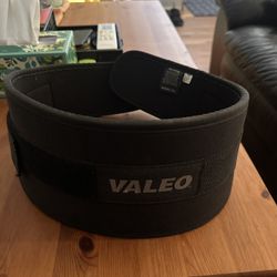 Valeo Back Brace