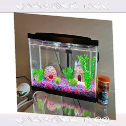 Ready-Made Aquarium Kit - Explore Underwater Beauty public often