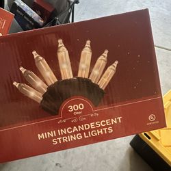 Mini Incandescent String Lights 300 Clear