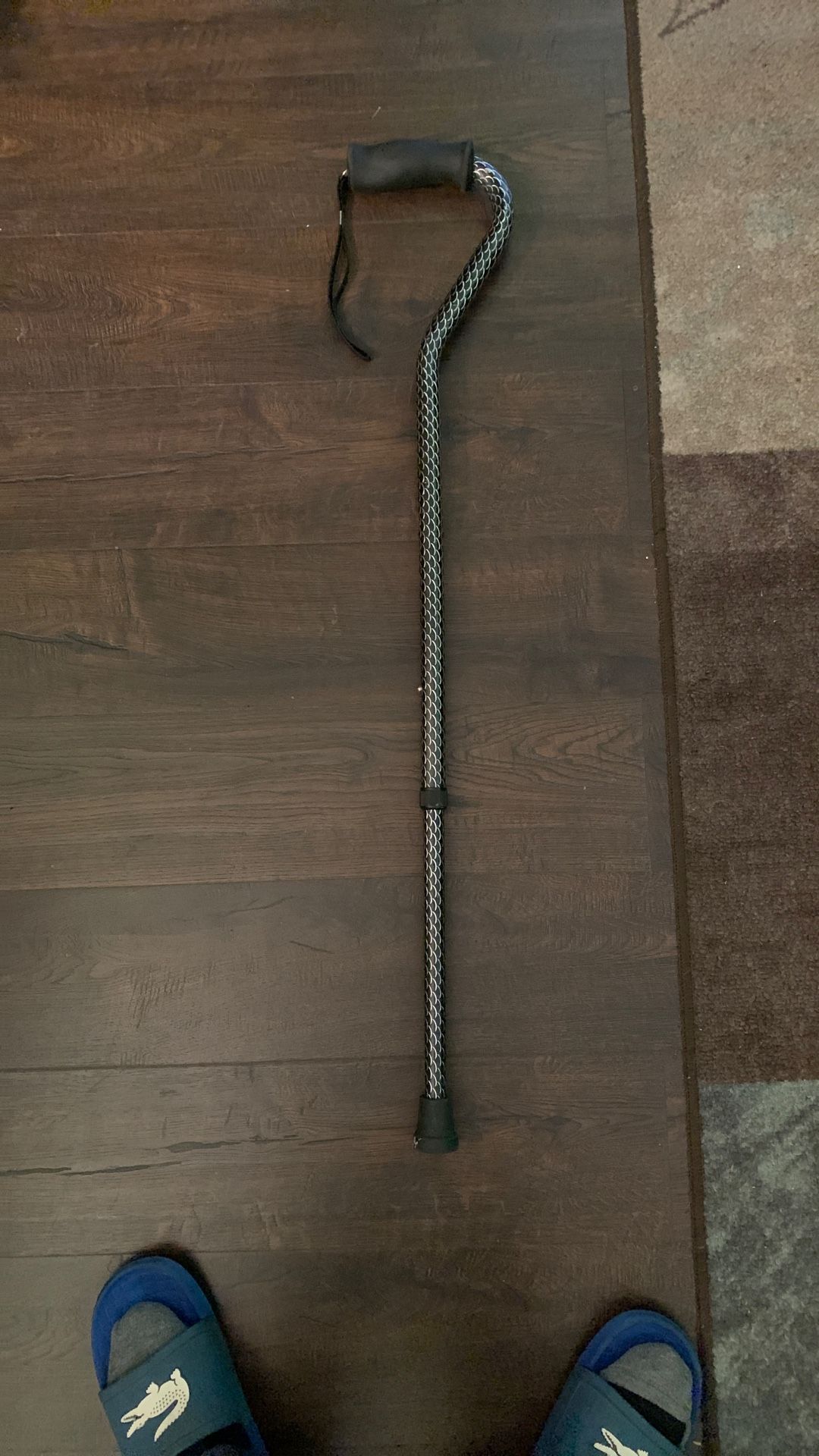 Walking Cane 🦯