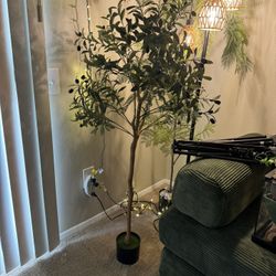 4ft Tall, Artificial olive Tree. 