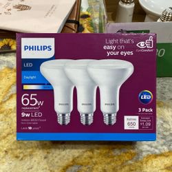 Phillips LED 5000k Bulbs
