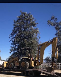 Need Grading??