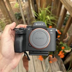 Sony A7 III + Sony FE 24-105mm f/4 G OSS | Excellent Full-Frame Camera Kit