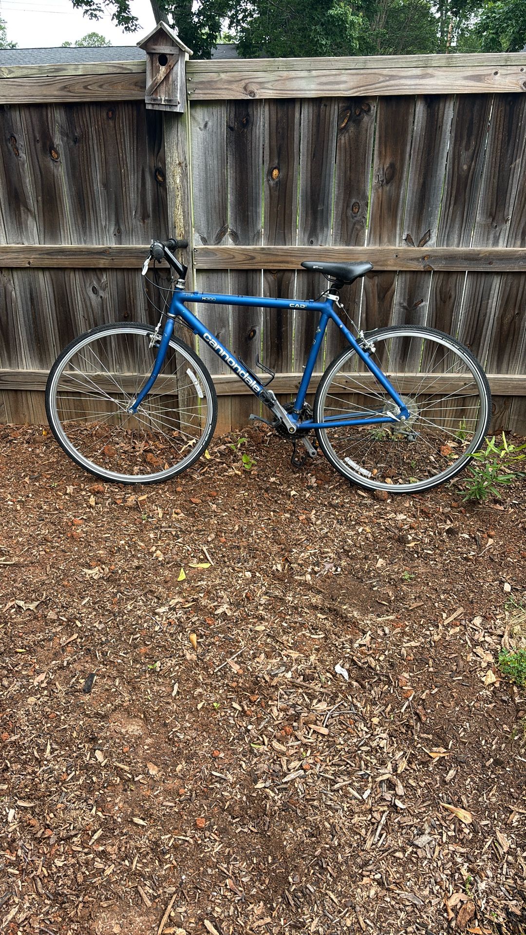 Cannondale Road Bike