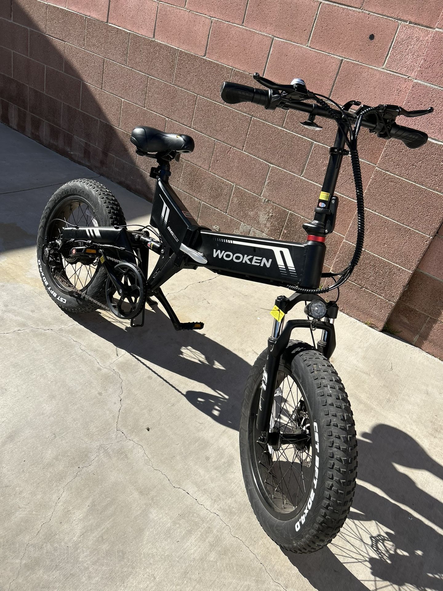 Electric Bike