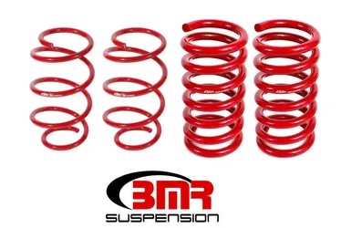 Ford Mustang Lowering Springs – Set of 4