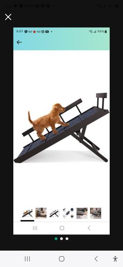 Adjustable Ramp with Rails