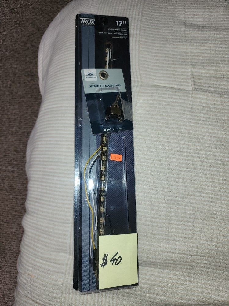 Two Trux Lights With Switch 