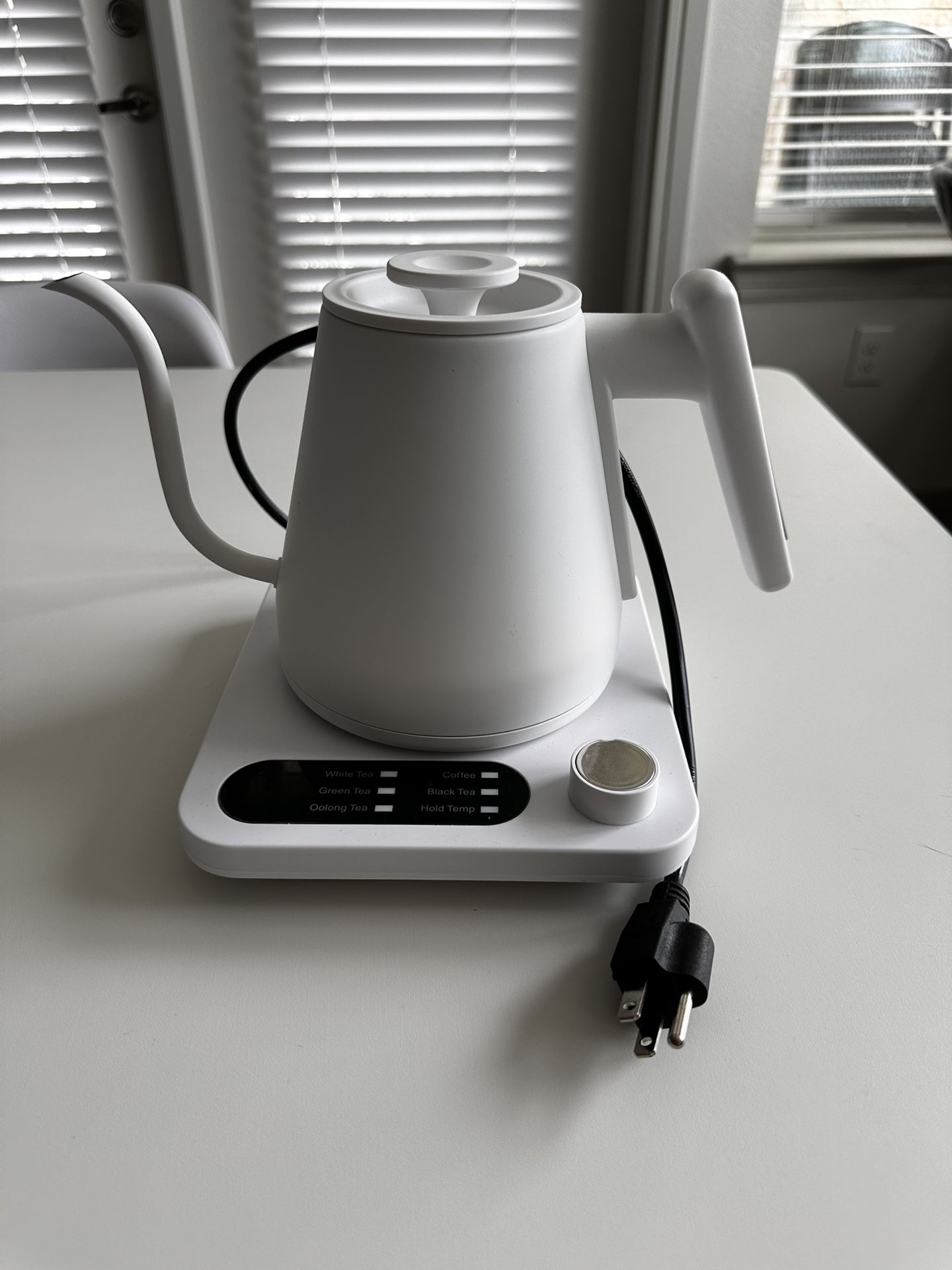 Electric Kettle