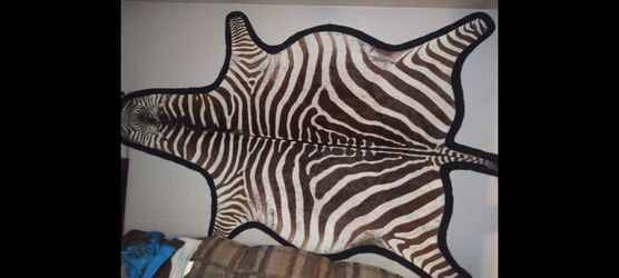 Zebra hide