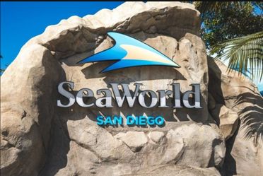 Seaworld Tickets (4)