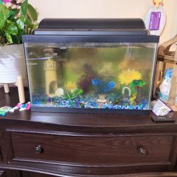 Fish Tank 