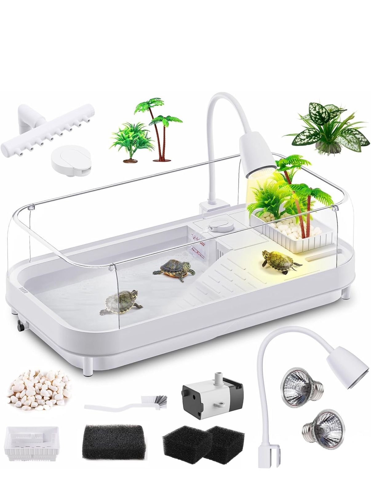 Turtle Tank
