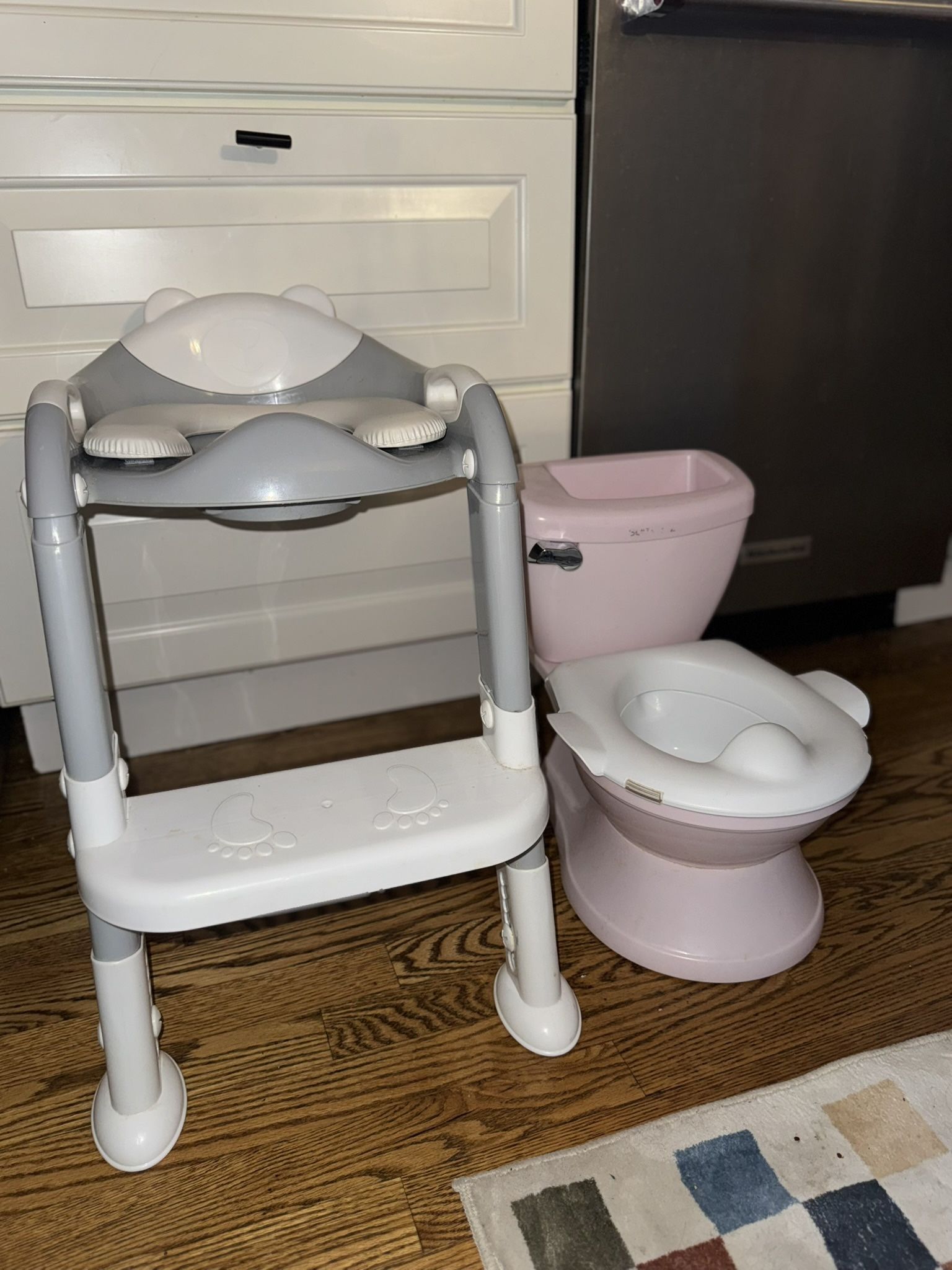 2 Potty Training Toilets