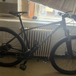 Specialized Rockhopper Sport Bicycle 